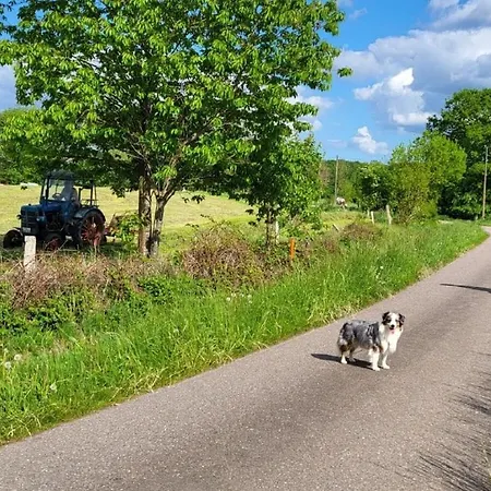 Auszeit Comfortable * Mohrkirch