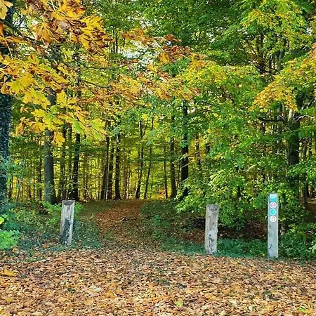 Auszeit Comfortable Mohrkirch